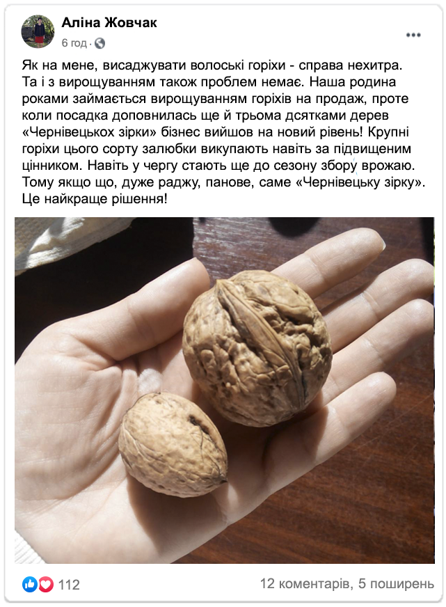 Заголовок