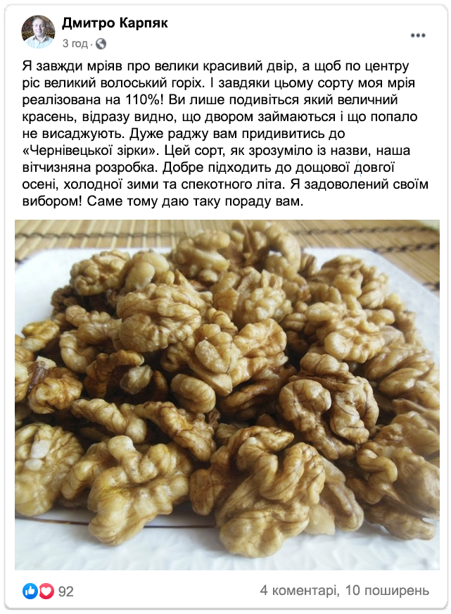 Заголовок