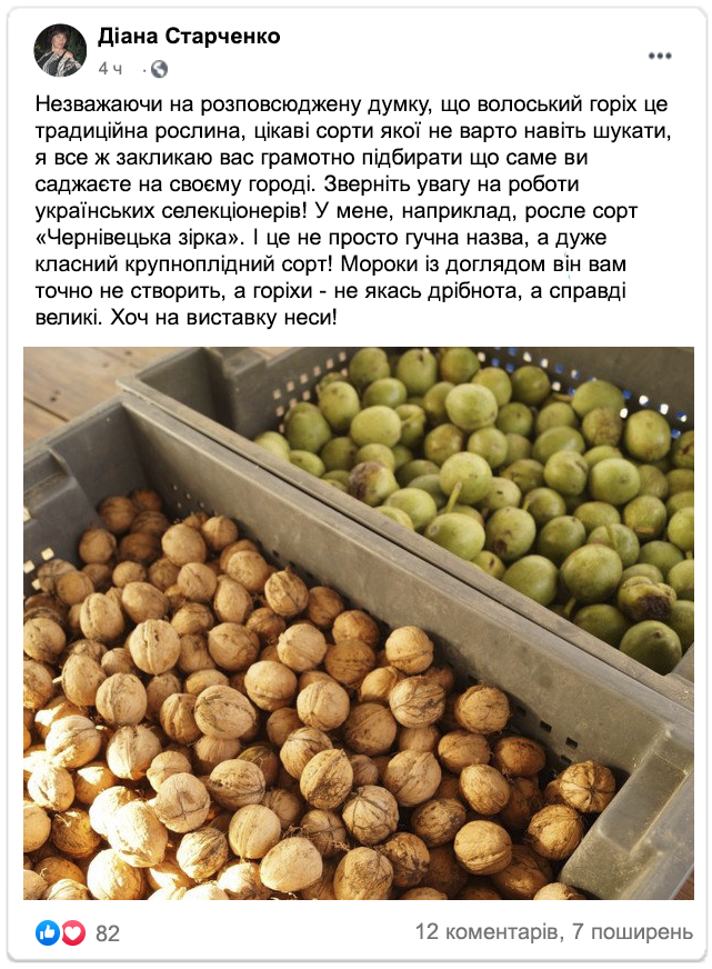 Заголовок