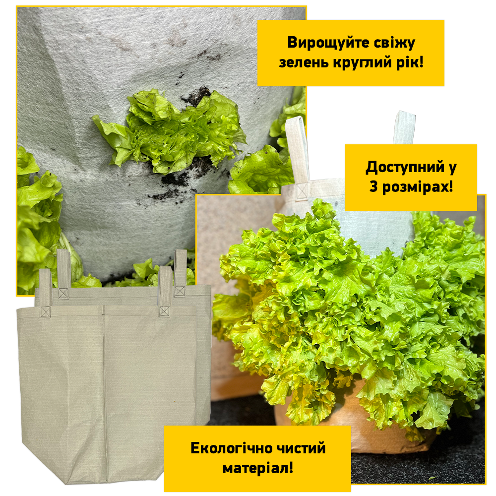 Заголовок