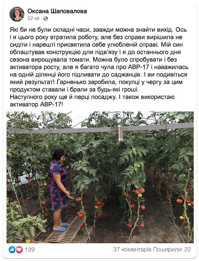 Заголовок
