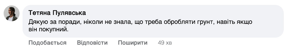 Заголовок