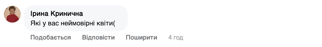 Заголовок