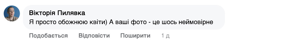 Заголовок