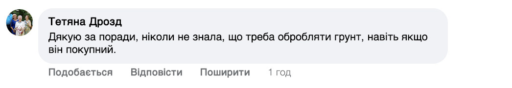 Заголовок