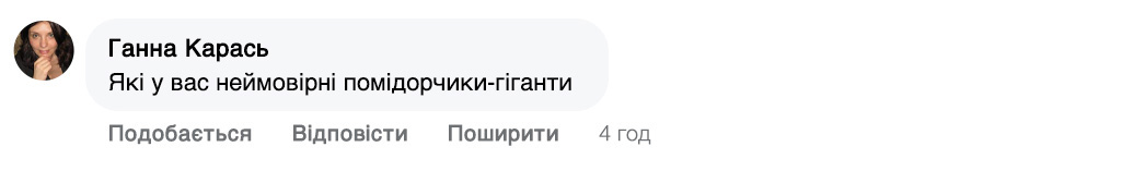 Заголовок
