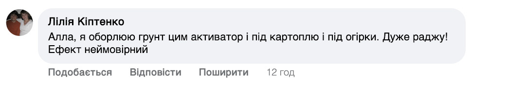 Заголовок