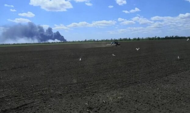 В одному з регіонів лишились сотні необроблених гектарів