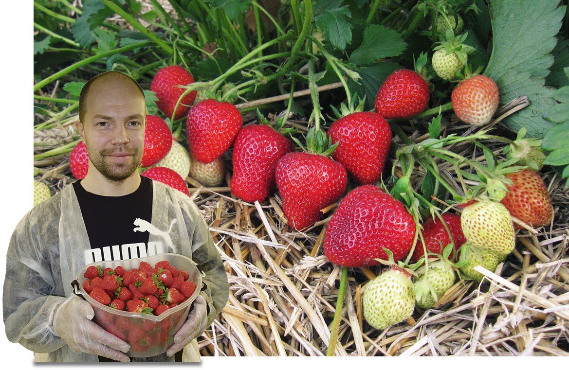 Заголовок