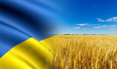 УКРАЇНА БУДЕ ЛІДЕРОМ ГЛОБАЛЬНИХ ЗУСИЛЬ ЗАРАДИ ПРОДОВОЛЬЧОЇ БЕЗПЕКИ – ПРЕЗИДЕНТ