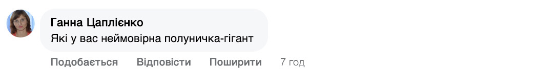 Заголовок