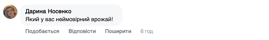 Заголовок