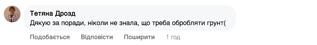 Заголовок