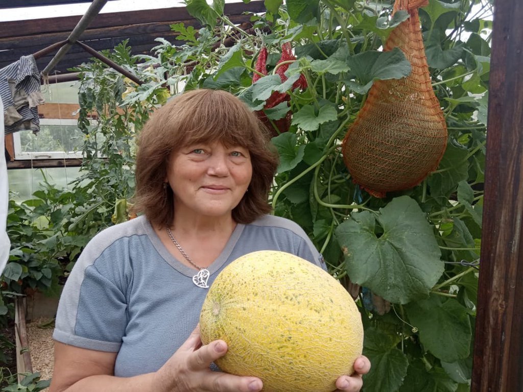 Заголовок