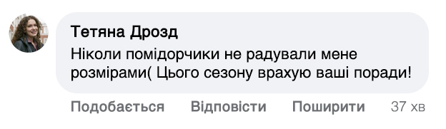 Заголовок