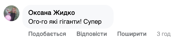 Заголовок