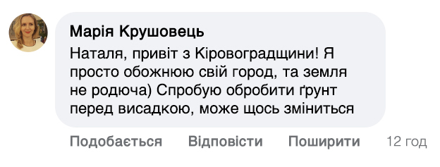 Заголовок