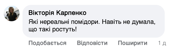 Заголовок