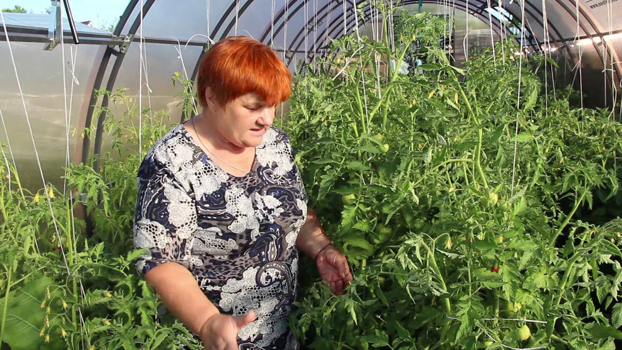 Заголовок