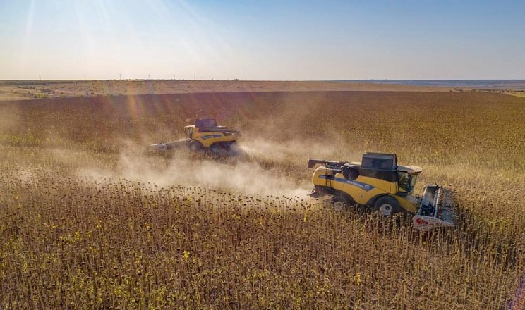 Як тривале вирощування соняшнику в сівозміні впливає на ґрунт
