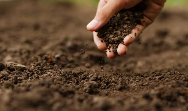 Відбір запасів вологи в ґрунті в МХП роблять мінімум тричі за сезон
