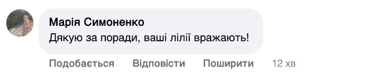 Заголовок