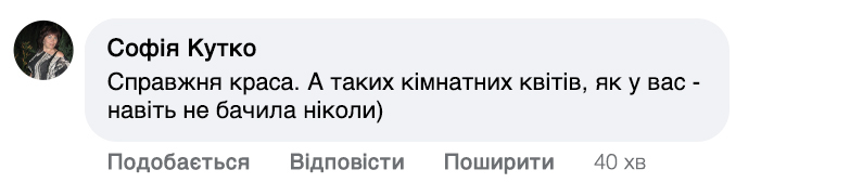 Заголовок