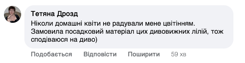 Заголовок