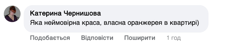 Заголовок