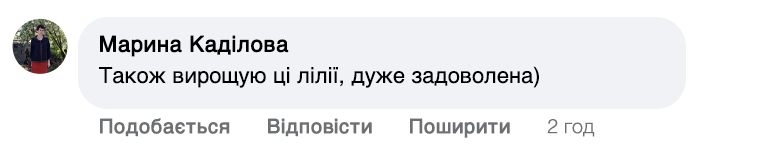 Заголовок