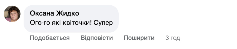 Заголовок