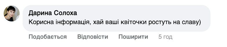 Заголовок