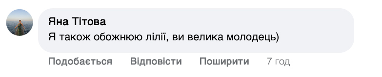 Заголовок