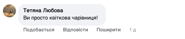 Заголовок