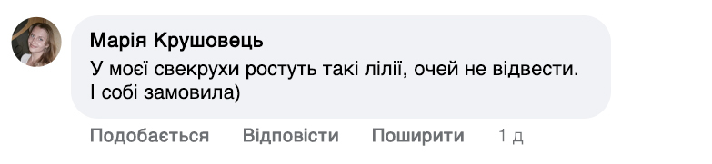 Заголовок