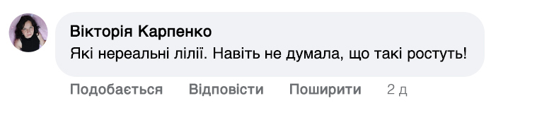 Заголовок