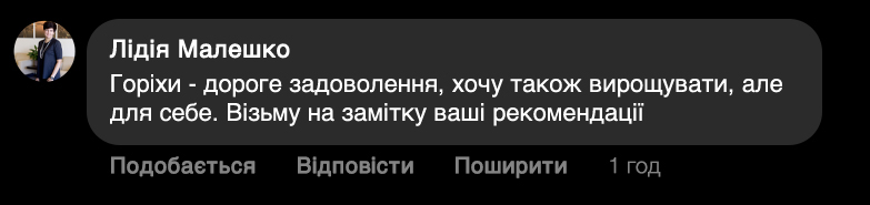 Заголовок