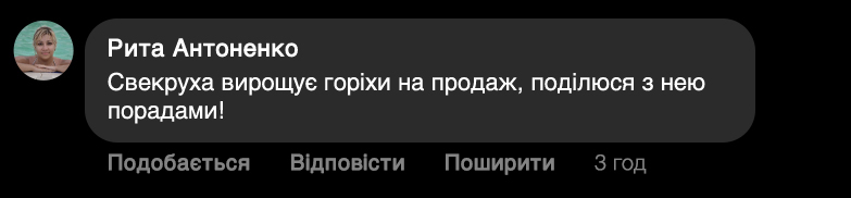 Заголовок