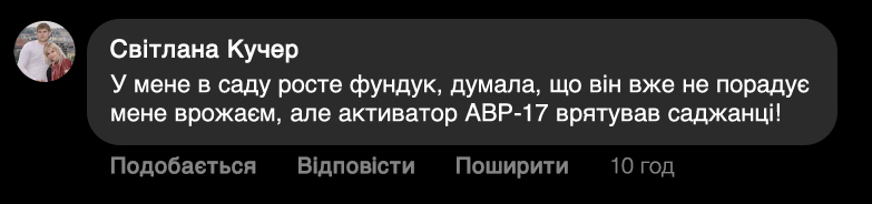 Заголовок