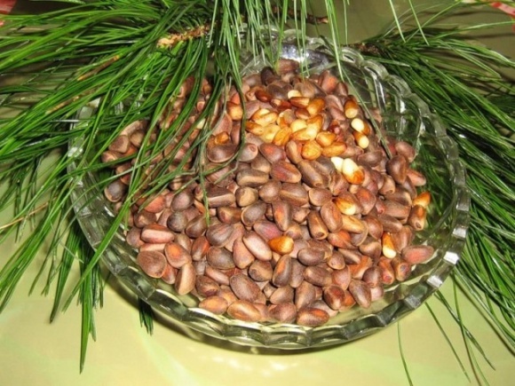 Заголовок