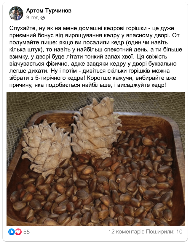 Заголовок