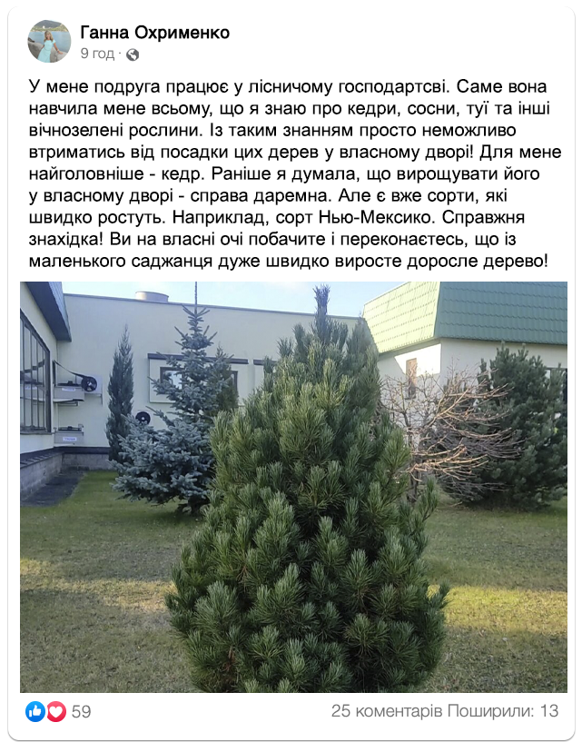 Заголовок