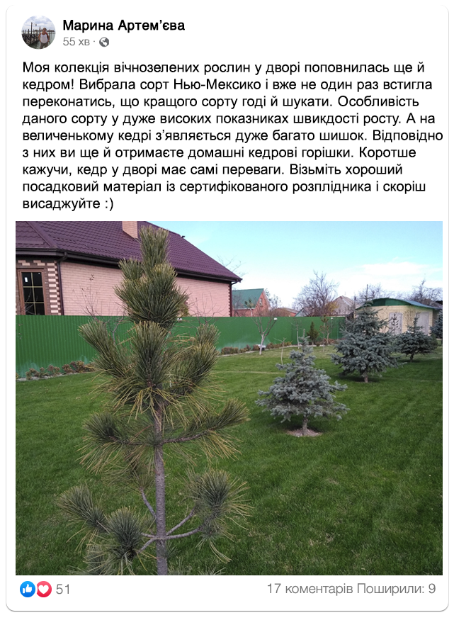 Заголовок