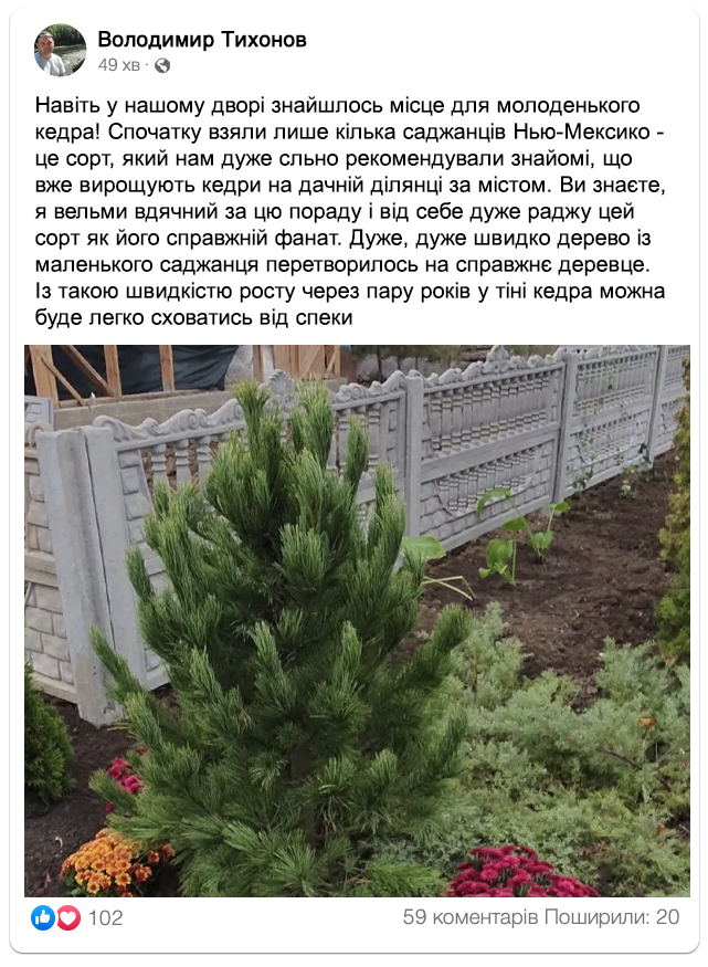 Заголовок
