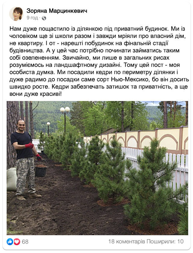 Заголовок