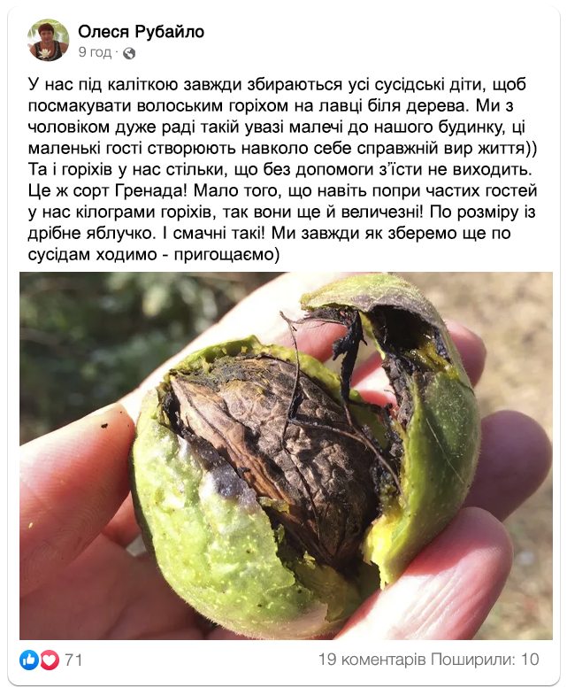 Заголовок