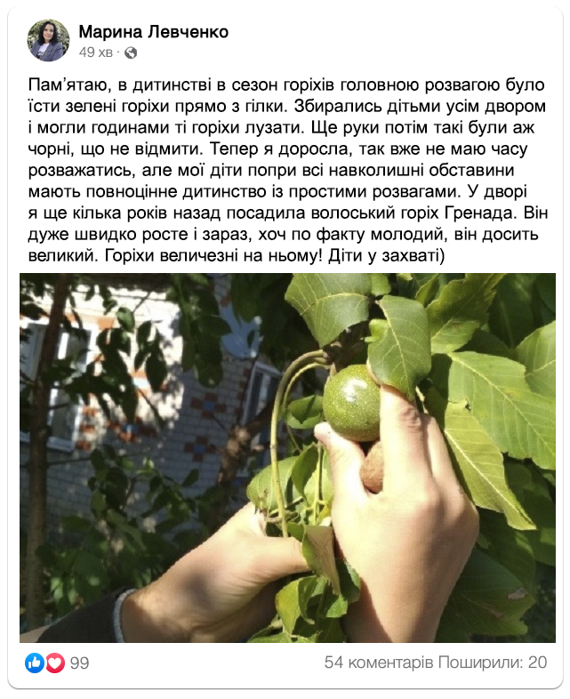 Заголовок