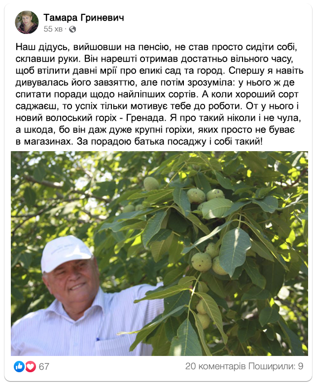 Заголовок