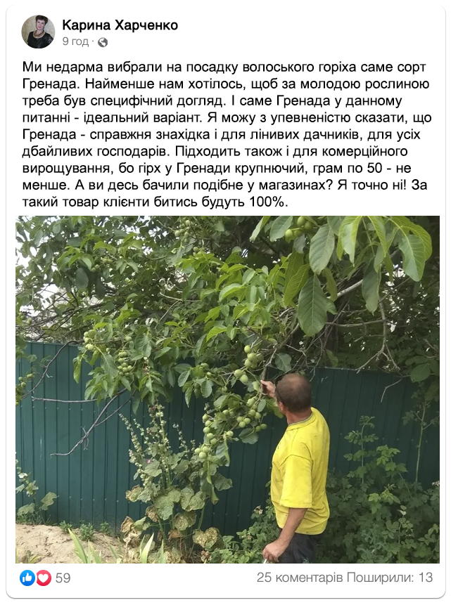 Заголовок