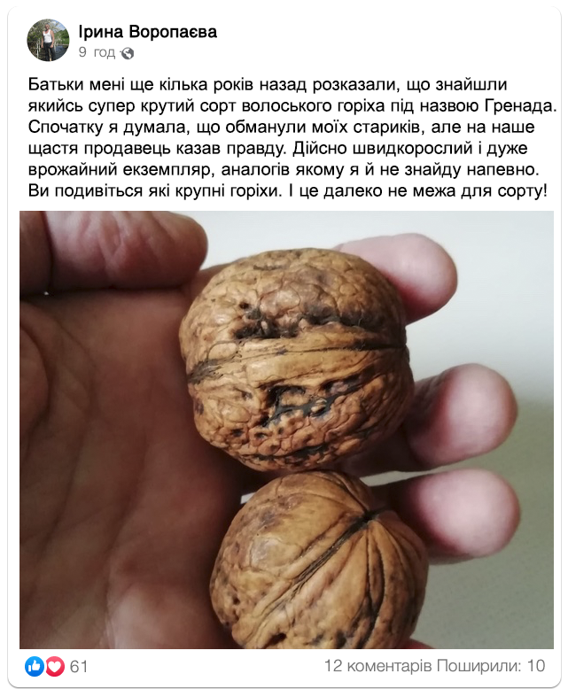 Заголовок